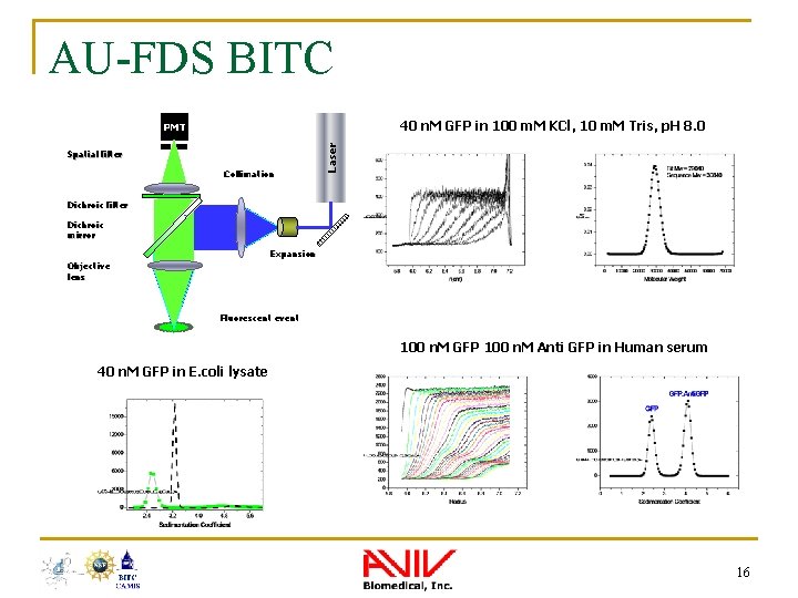 AU-FDS BITC 40 n. M GFP in 100 m. M KCl, 10 m. M