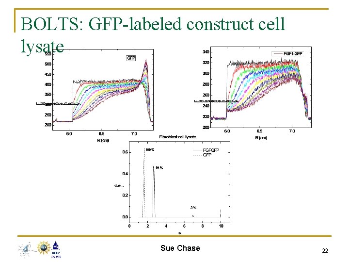 BOLTS: GFP-labeled construct cell lysate Sue Chase 22 