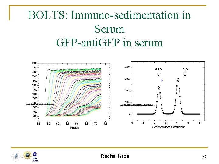 BOLTS: Immuno-sedimentation in Serum GFP-anti. GFP in serum GFP Rachel Kroe Ig. G 26