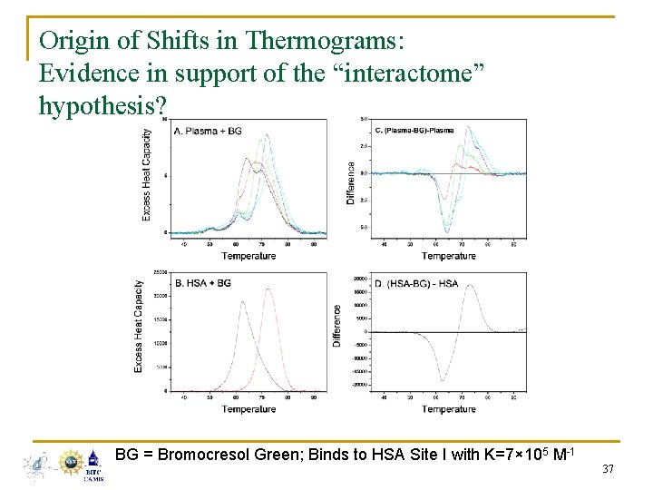 Origin of Shifts in Thermograms: Evidence in support of the “interactome” hypothesis? BG =