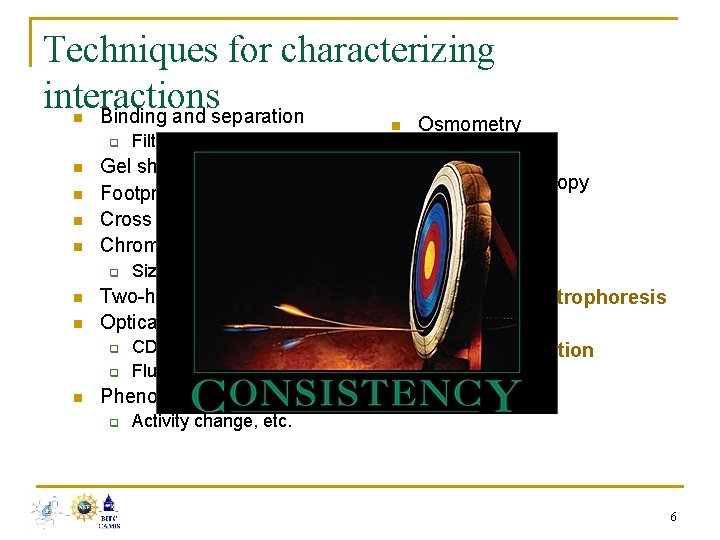 Techniques for characterizing interactions Binding and separation n q n n Gel shift Footprinting