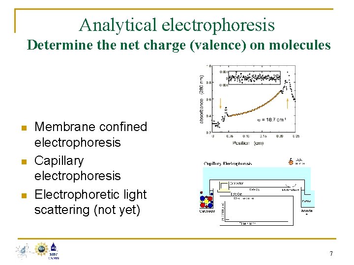 Analytical electrophoresis Determine the net charge (valence) on molecules n n n Membrane confined