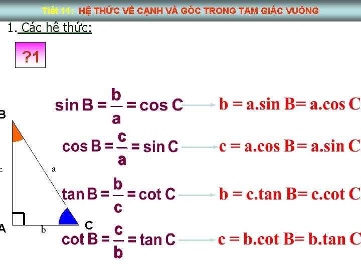 Tiết 11: HỆ THỨC VỀ CẠNH VÀ GÓC TRONG TAM GIÁC VUÔNG 1. Các