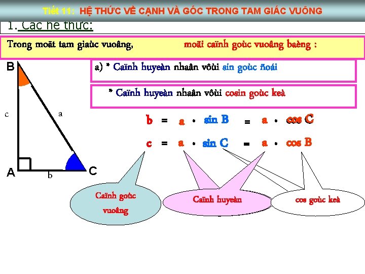 Tiết 11: HỆ THỨC VỀ CẠNH VÀ GÓC TRONG TAM GIÁC VUÔNG 1. Các