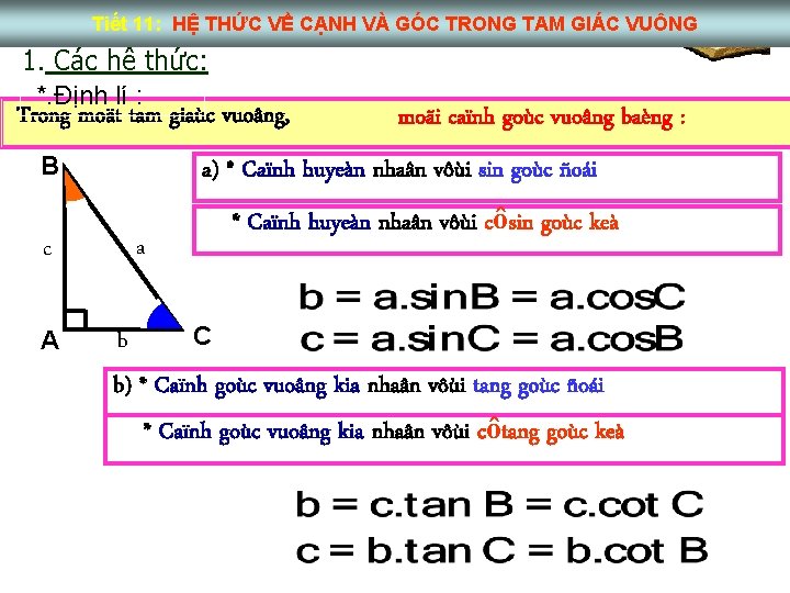 Tiết 11: HỆ THỨC VỀ CẠNH VÀ GÓC TRONG TAM GIÁC VUÔNG 1. Các