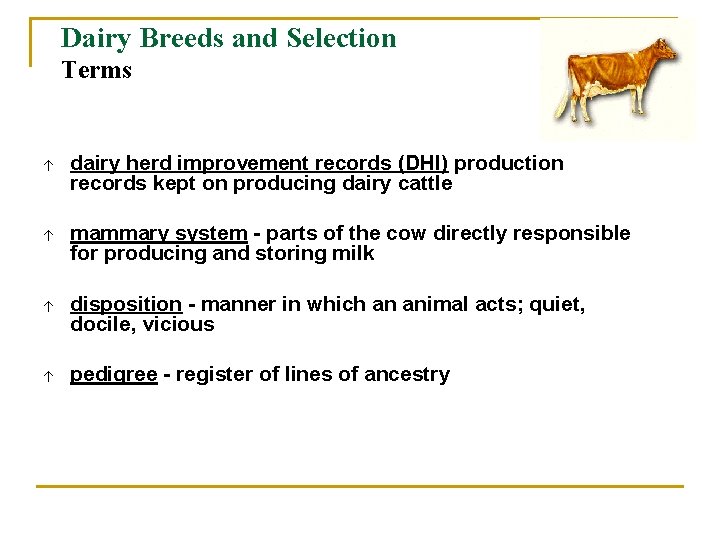 Dairy Breeds and Selection Terms á dairy herd improvement records (DHI) production records kept