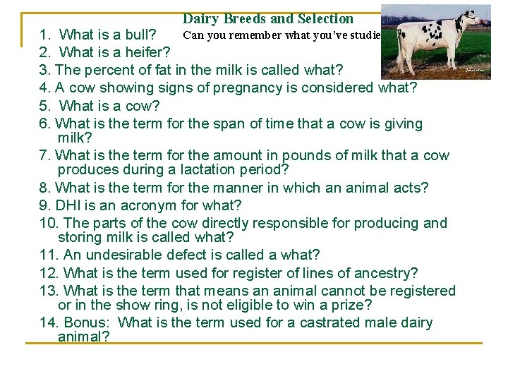 Dairy Breeds and Selection Can you remember what you’ve studied? 1. What is a