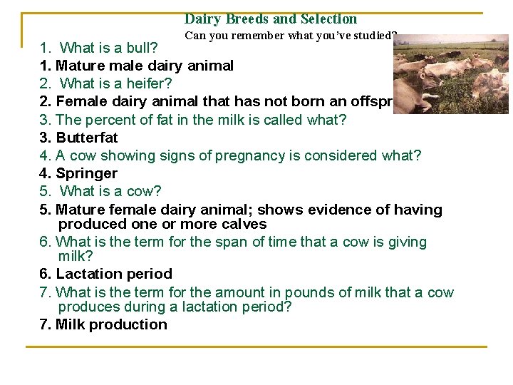 Dairy Breeds and Selection Can you remember what you’ve studied? 1. What is a