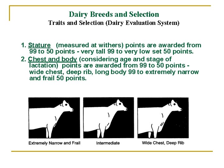 Dairy Breeds and Selection Traits and Selection (Dairy Evaluation System) 1. Stature (measured at