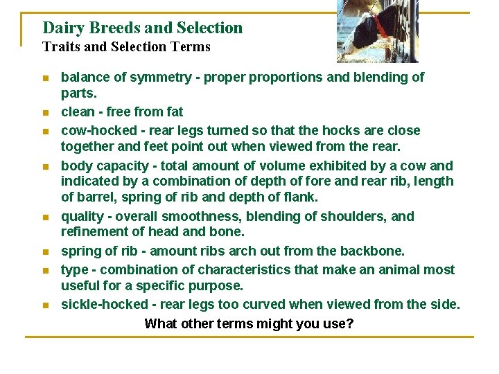 Dairy Breeds and Selection Traits and Selection Terms n n n n balance of