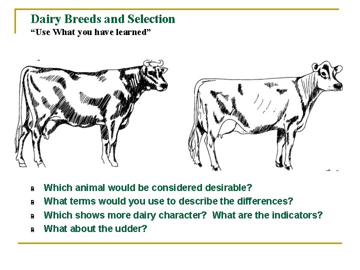 Dairy Breeds and Selection “Use What you have learned” 2 2 Which animal would