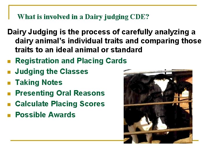 What is involved in a Dairy judging CDE? Dairy Judging is the process of