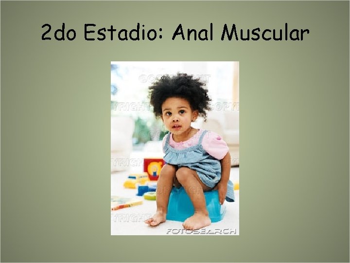 2 do Estadio: Anal Muscular 