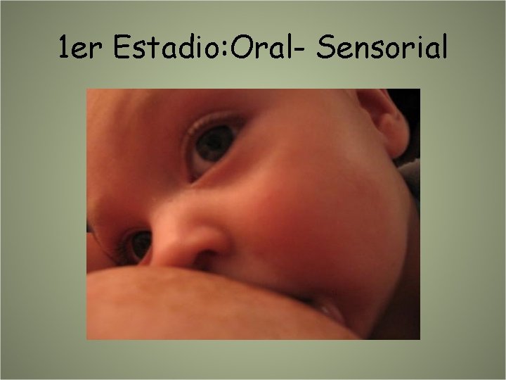 1 er Estadio: Oral- Sensorial 