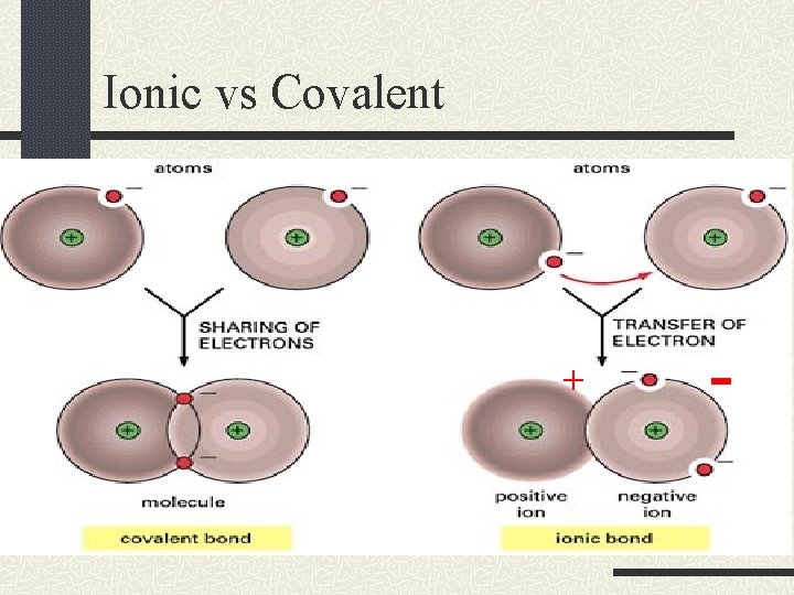 Ionic vs Covalent + - 