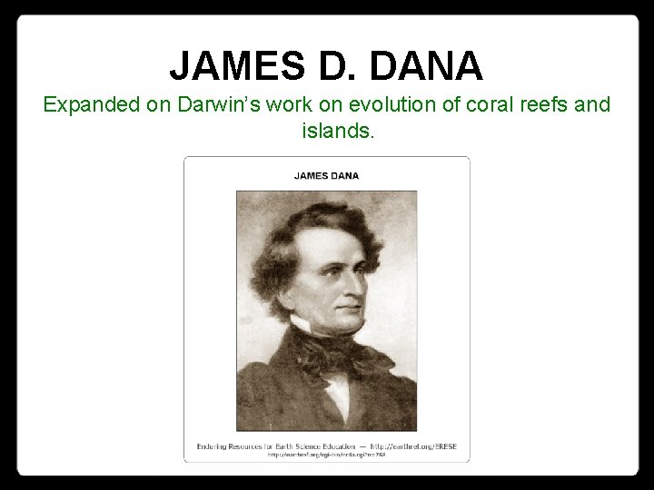 JAMES D. DANA Expanded on Darwin’s work on evolution of coral reefs and islands.