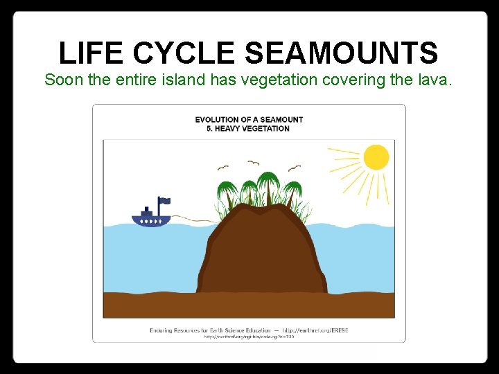 LIFE CYCLE SEAMOUNTS Soon the entire island has vegetation covering the lava. 