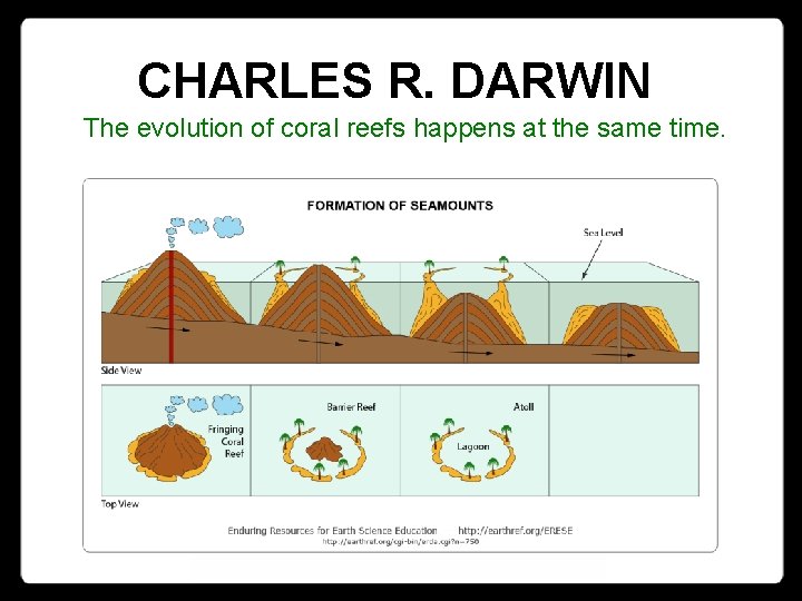 CHARLES R. DARWIN The evolution of coral reefs happens at the same time. 