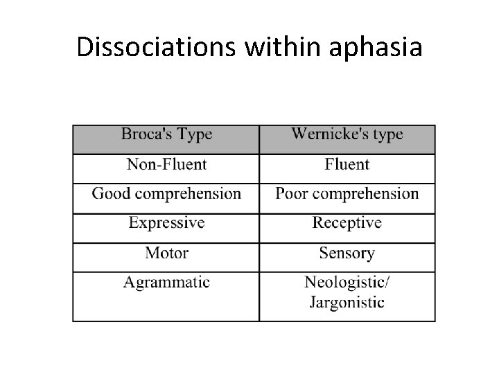 Dissociations within aphasia 