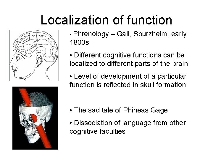 Localization of function • Phrenology – Gall, Spurzheim, early 1800 s • Different cognitive