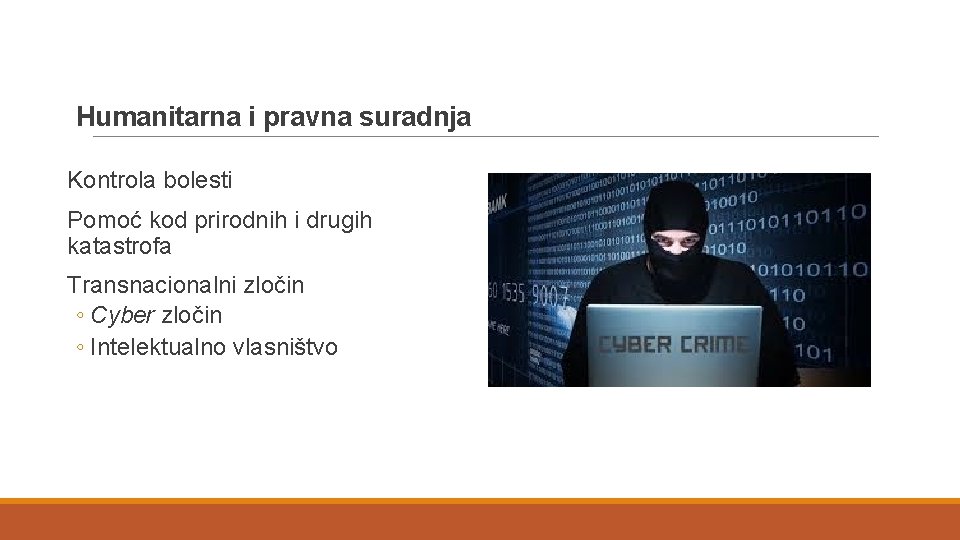 Humanitarna i pravna suradnja Kontrola bolesti Pomoć kod prirodnih i drugih katastrofa Transnacionalni zločin