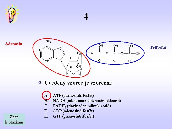 4 Adenosin Trifosfát Uvedený vzorec je vzorcem: Zpět k otázkám A. B. C. D.