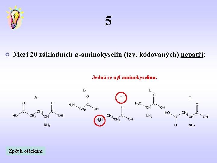 5 Mezi 20 základních α-aminokyselin (tzv. kódovaných) nepatří: Jedná se o β-aminokyselinu. Zpět k