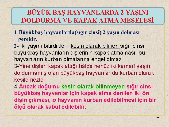 BÜYÜK BAŞ HAYVANLARDA 2 YAŞINI DOLDURMA VE KAPAK ATMA MESELESİ • • • 1