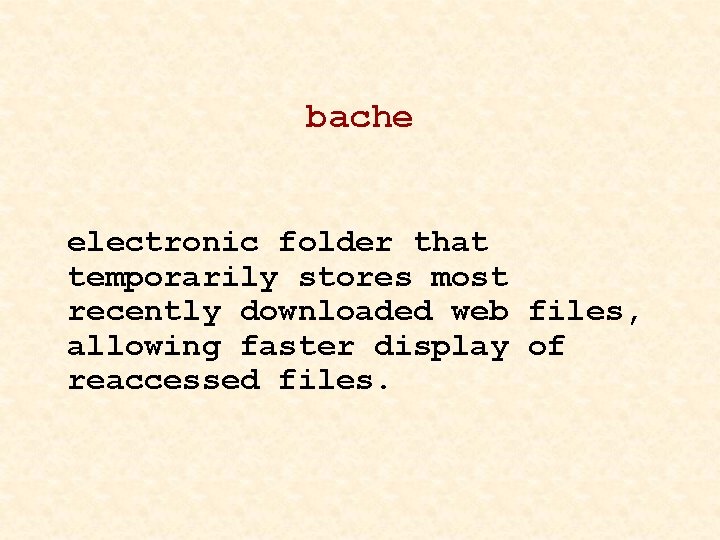 bache electronic folder that temporarily stores most recently downloaded web files, allowing faster display