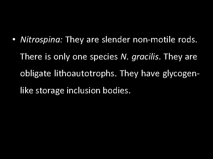  • Nitrospina: They are slender non-motile rods. There is only one species N.