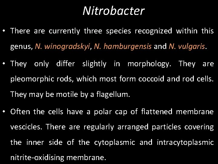 Nitrobacter • There are currently three species recognized within this genus, N. winogradskyi, N.