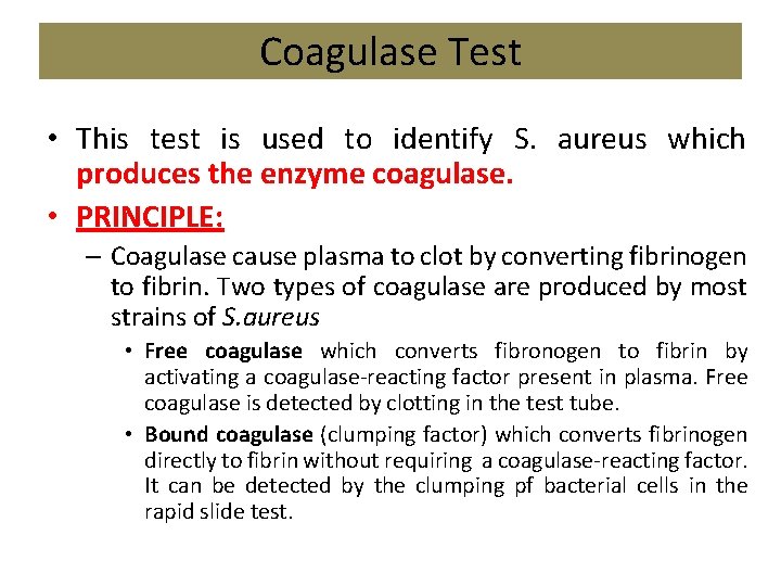 Coagulase Test • This test is used to identify S. aureus which produces the