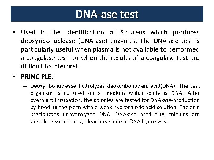 DNA-ase test • Used in the identification of S. aureus which produces deoxyribonuclease (DNA-ase)
