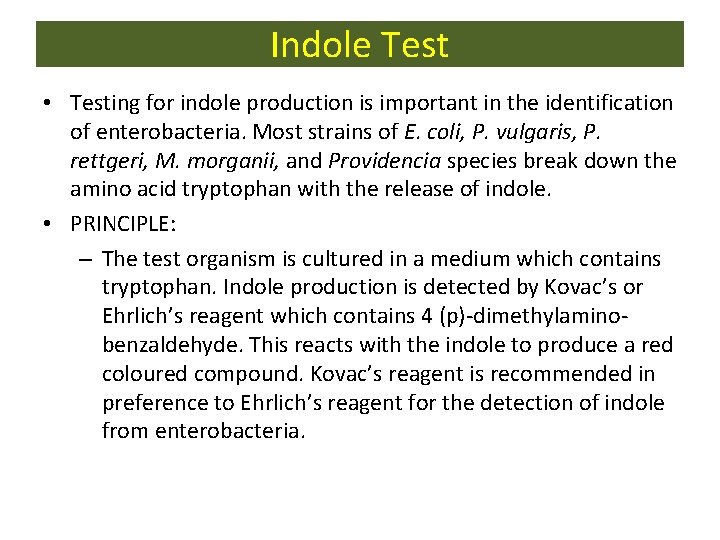Indole Test • Testing for indole production is important in the identification of enterobacteria.