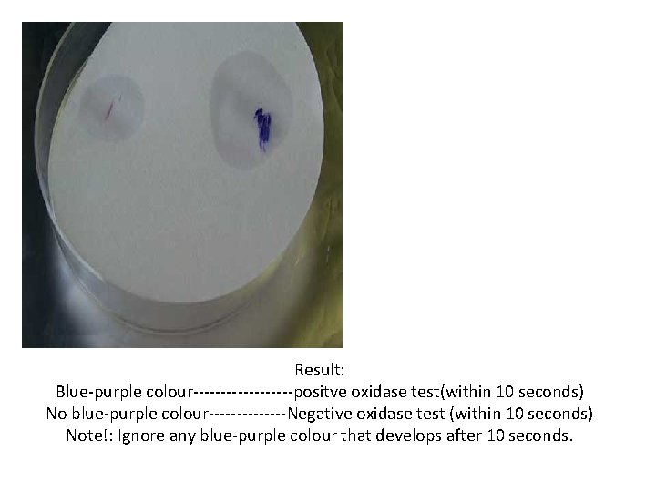 Result: Blue-purple colour---------positve oxidase test(within 10 seconds) No blue-purple colour-------Negative oxidase test (within 10