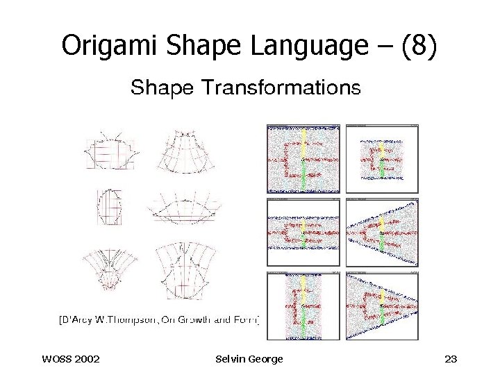 Origami Shape Language – (8) WOSS 2002 Selvin George 23 