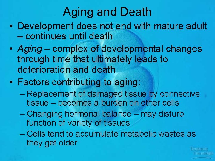 Aging and Death • Development does not end with mature adult – continues until