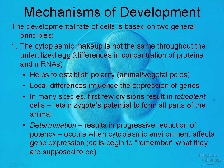 Mechanisms of Development The developmental fate of cells is based on two general principles: