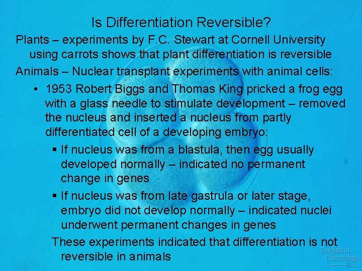 Is Differentiation Reversible? Plants – experiments by F. C. Stewart at Cornell University using