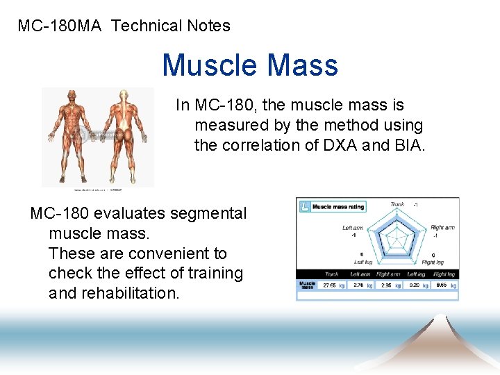 MC-180 MA Technical Notes Muscle Mass In MC-180, the muscle mass is measured by