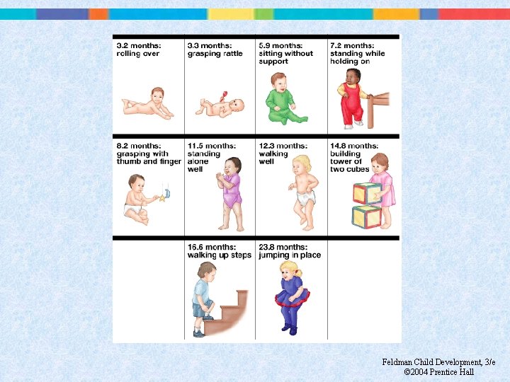 Feldman Child Development, 3/e © 2004 Prentice Hall 