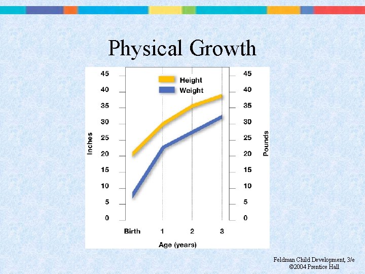 Physical Growth Feldman Child Development, 3/e © 2004 Prentice Hall 