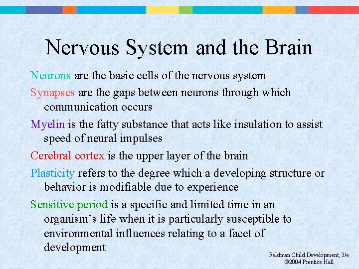 Nervous System and the Brain Neurons are the basic cells of the nervous system