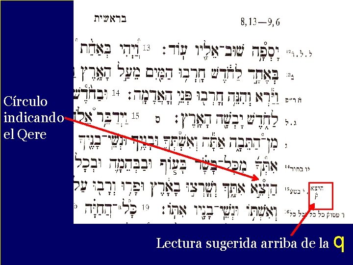 Círculo indicando el Qere Lectura sugerida arriba de la q 