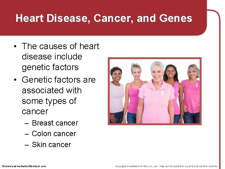 Heart Disease, Cancer, and Genes • The causes of heart disease include genetic factors