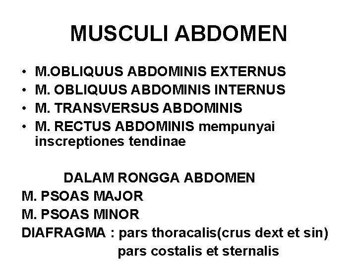 MUSCULI ABDOMEN • • M. OBLIQUUS ABDOMINIS EXTERNUS M. OBLIQUUS ABDOMINIS INTERNUS M. TRANSVERSUS