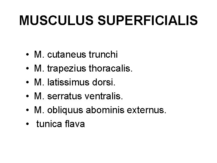MUSCULUS SUPERFICIALIS • • • M. cutaneus trunchi M. trapezius thoracalis. M. latissimus dorsi.
