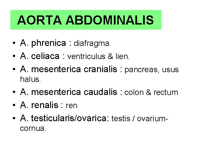AORTA ABDOMINALIS • A. phrenica : diafragma. • A. celiaca : ventriculus & lien.