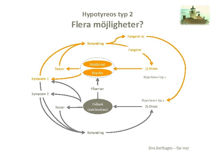 Hypotyreos typ 2 Flera möjligheter? Fungerar ej Behandling Fungerar Sköldkörtel 1) Orsak Tester Hypofys