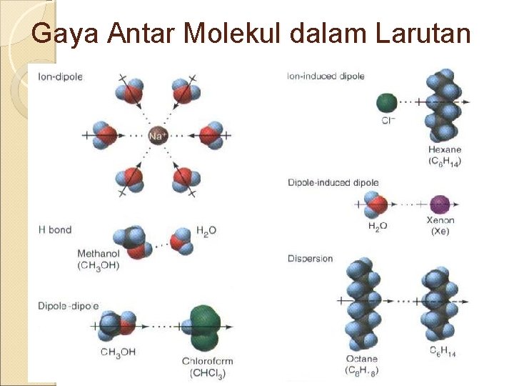 Gaya Antar Molekul dalam Larutan 